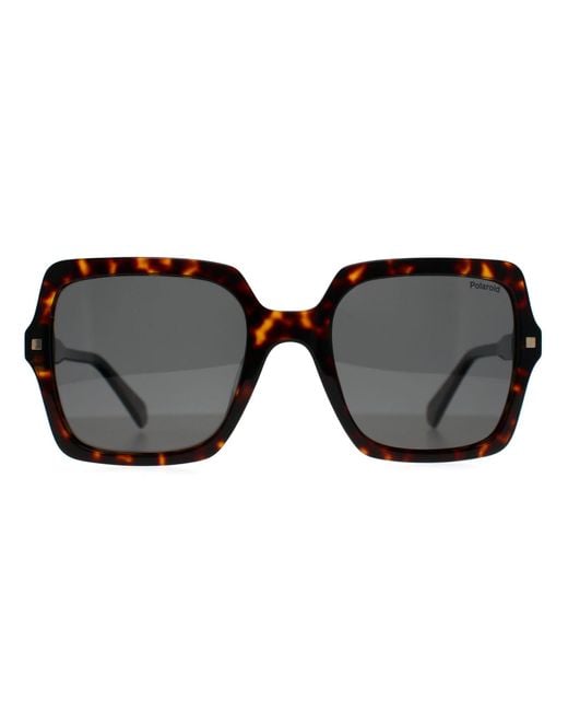 Polaroid Black Pld 4165/S/X 086 M9 Havanna Grau Polarisierte Sonnenbrille
