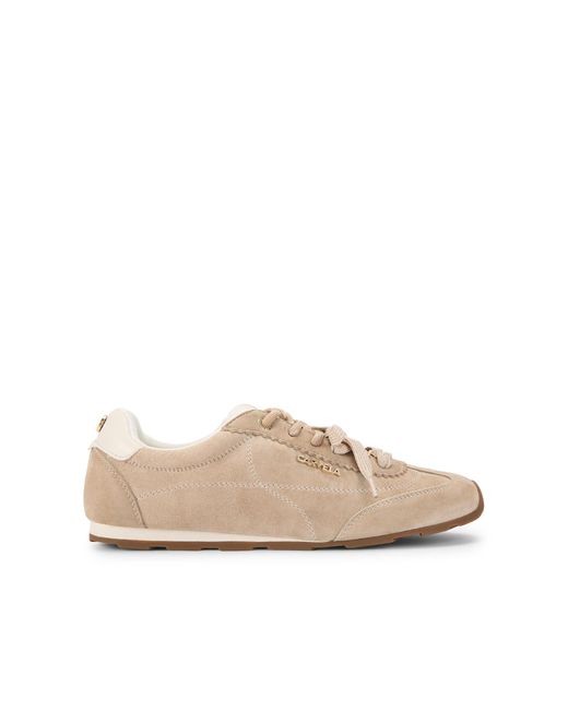 Carvela Kurt Geiger Natural Suede Tivoli Sneaker Sneakers