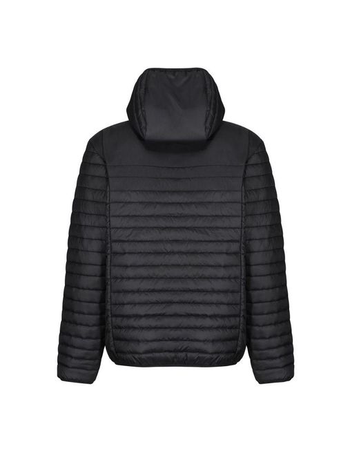 Regatta Black Honestly Made Padded Jacket
