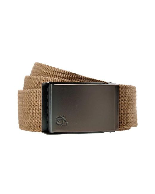 Craghoppers Brown Explorer Logo Belt for men