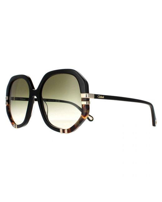 Chloé Brown Chloé Square Shiny And Tortoise Gradient Ch0105S