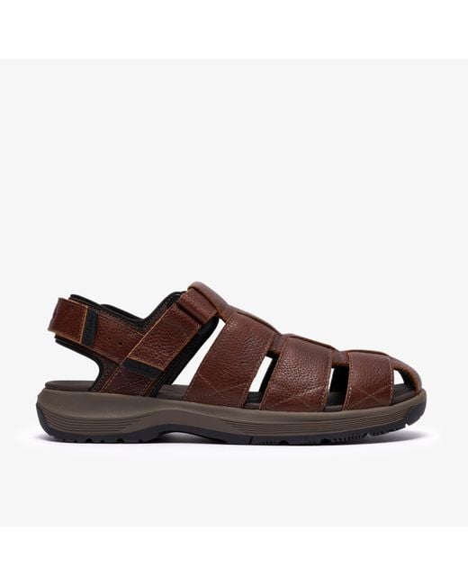 Clarks Brown Guideview Cove Dark Lea Sandals for men