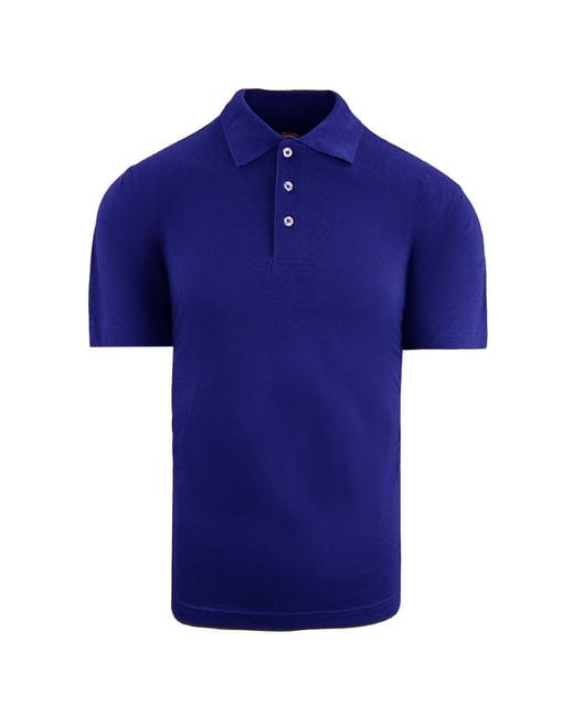 Dickies Blue Royal Polo Shirt Cotton for men