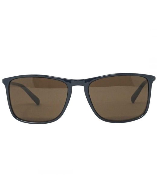 Calvin Klein Brown Ck20524S 410 Sunglasses for men