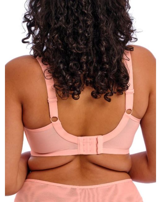 Elomi Pink Kendra Plunge Bra