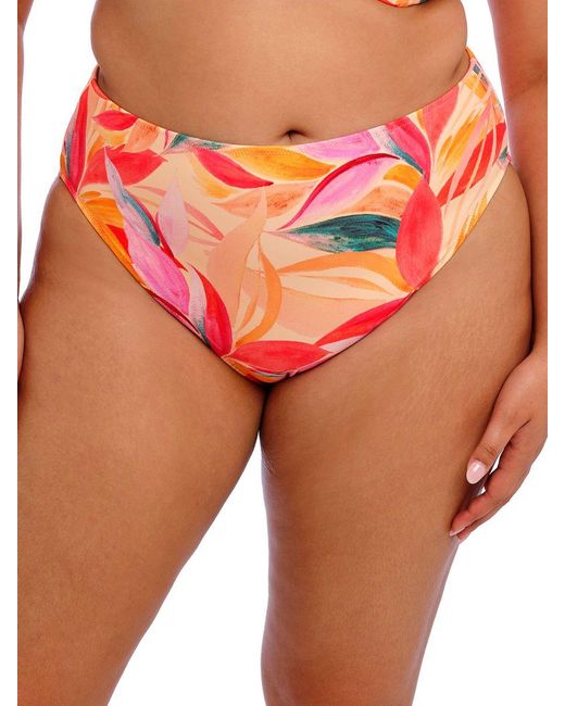 Elomi Orange Sancho Beach Bikini Brief