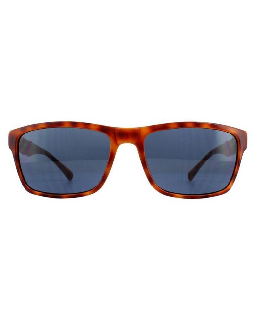 Guess Blue Rectangle Honey Tortoise Sunglasses for men