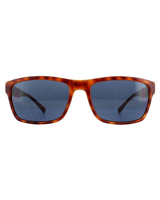 Guess Blue Rectangle Honey Tortoise Sunglasses for men