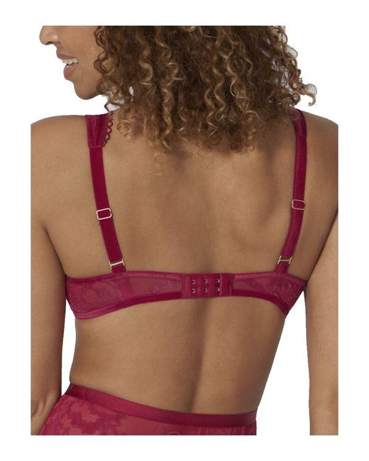 Triumph Pink Velvet Rose Spotlight Padded Bra