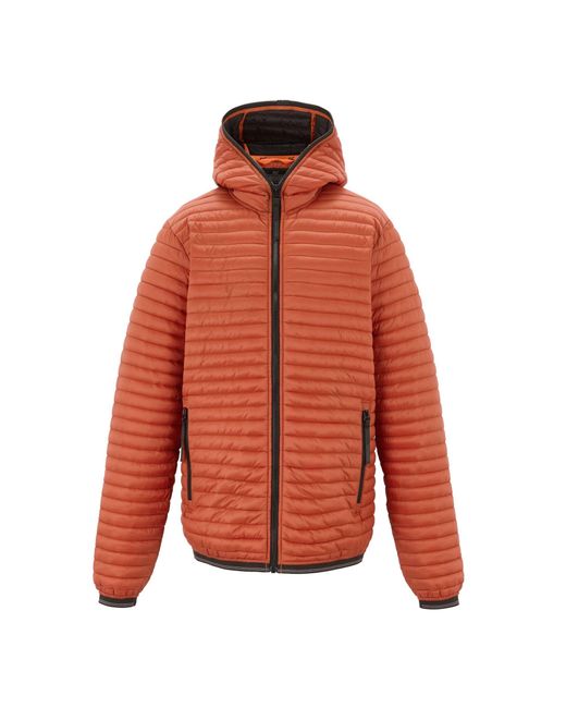 Regatta Orange Rigain Padded Jacket (Brick) for men