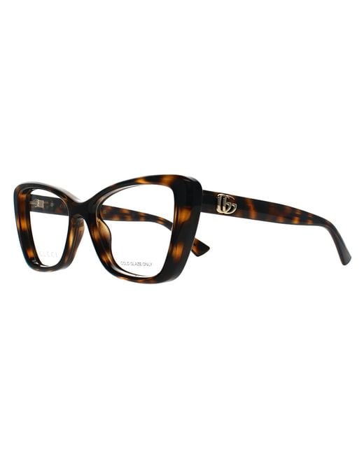 Gucci Brown Cat Eye Shiny Dark Havana Gg1977O