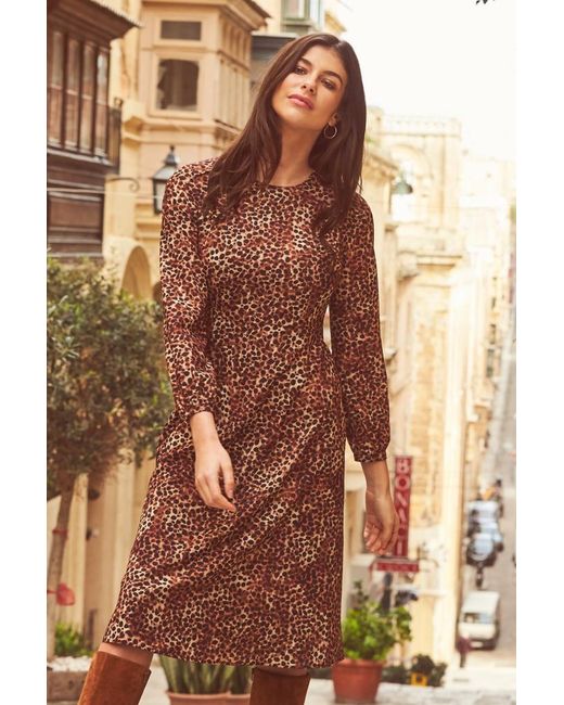 Sosandar Brown Animal Spot Print Fit & Flare Dress