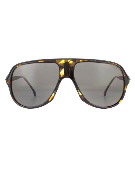 Carrera Gray Sunglasses Safari 65 Wr9 M9 Havana Polarised