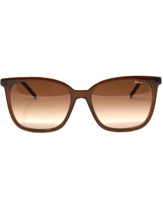 Boss Brown Hg1080/S Ha3 09Q Sunglasses