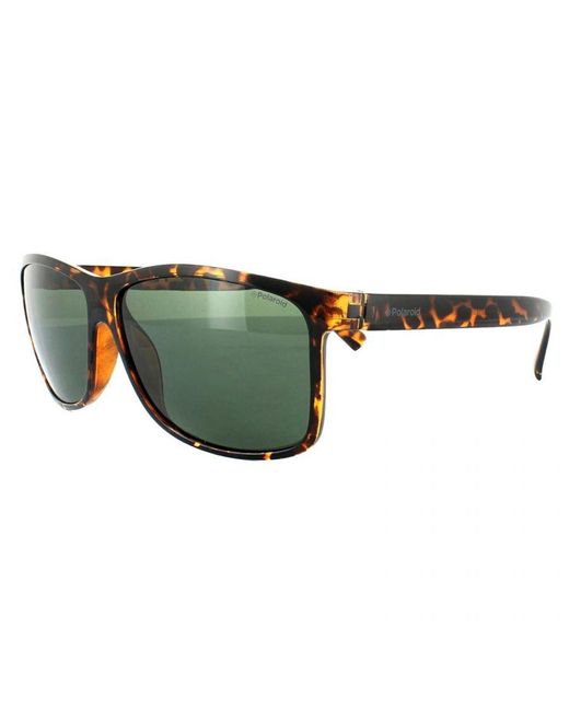 Polaroid Green Lightweight Rectangle Havana Polarized Sunglasses for men