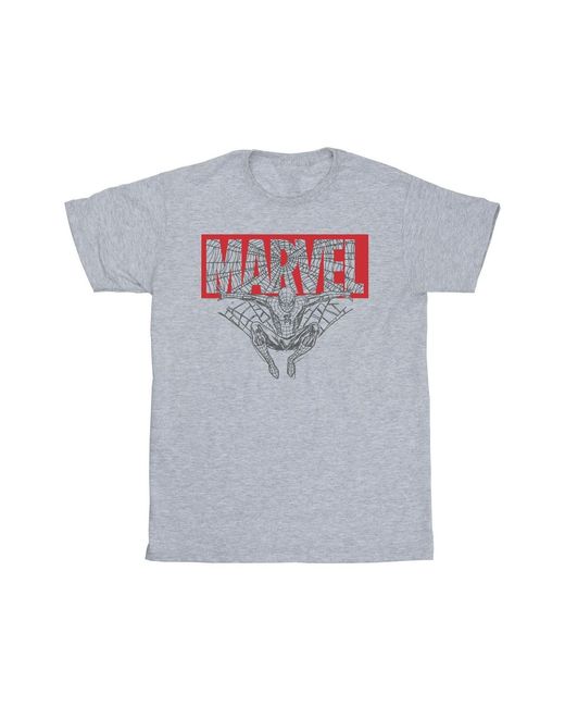 Marvel Gray Spider Logo T-Shirt (Sports) for men