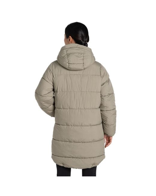 Craghoppers Brown Ladies Amira Padded Jacket (Vert)