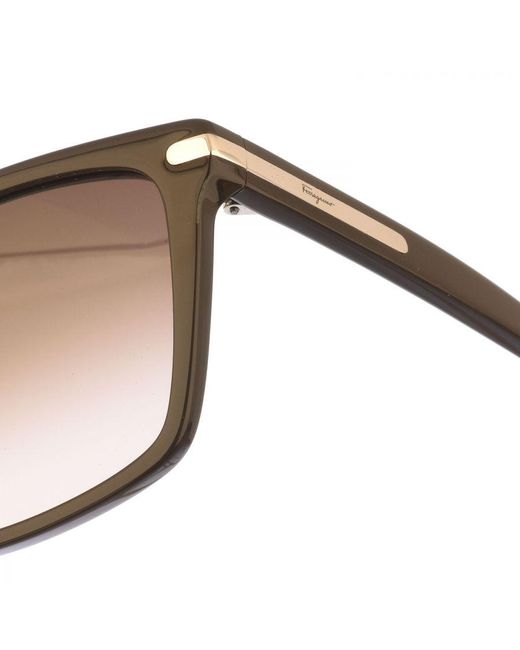 Ferragamo Natural Square Shaped Acetate Sunglasses Sf1037S