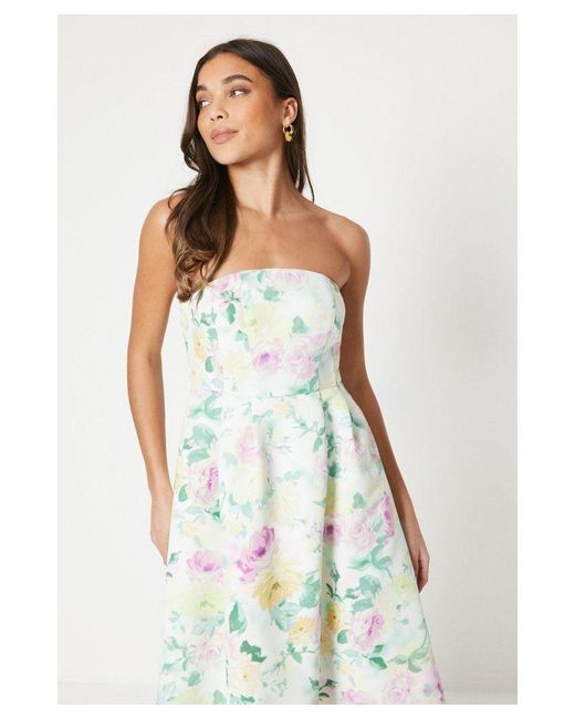 Oasis White Petite Floral Bandeau Ottoman Midi Dress
