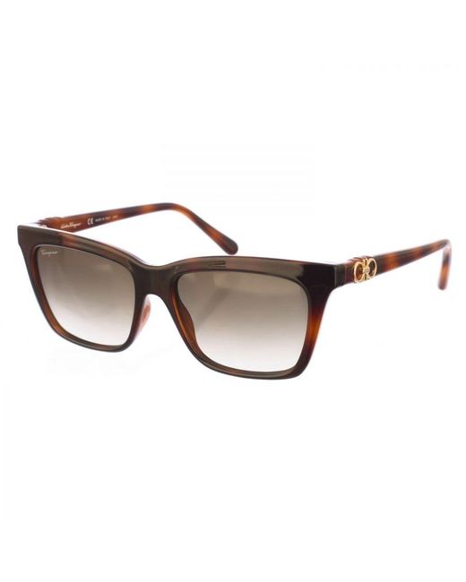Ferragamo Brown Square Shaped Acetate Sunglasses Sf1027S