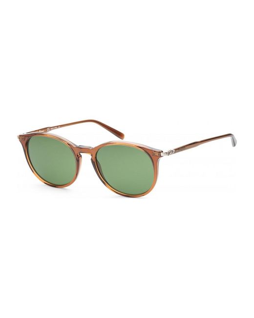 Ferragamo Green Sf911S-210 Sf911S 53 210 Fashion Sunglasses