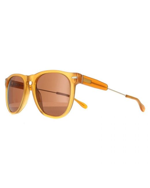 Serengeti Brown Round Light Honey Polarized Drivers Amboy for men