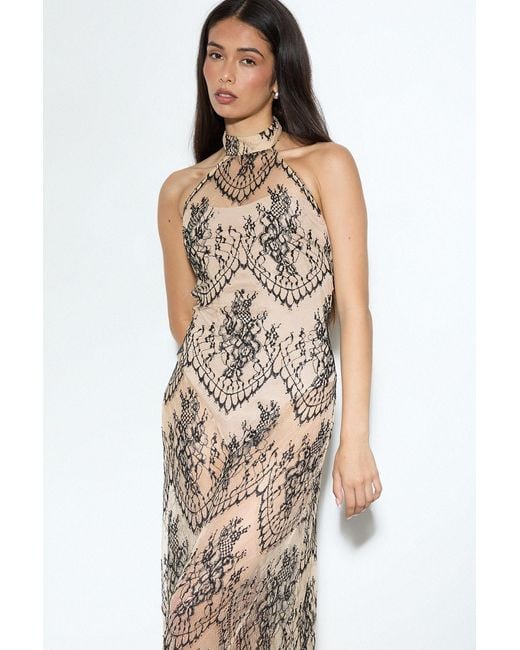 MissPap Metallic Premium Sheer Lace Maxi Dress