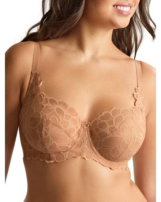 Panache Brown Allure Full Cup Bra