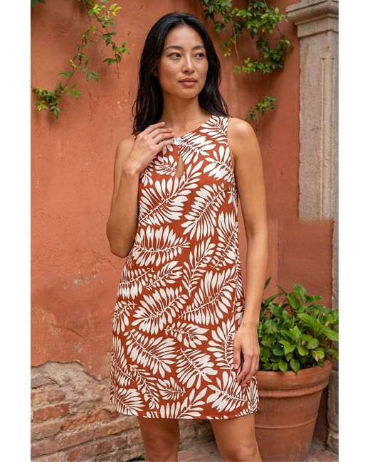 Roman Brown Petite Button Shift Dress
