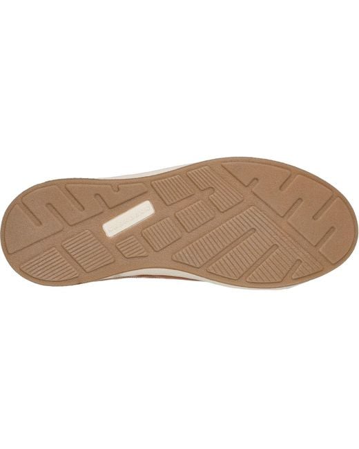 Skechers Brown Cavell Sparkman Waterproof Trainers for men