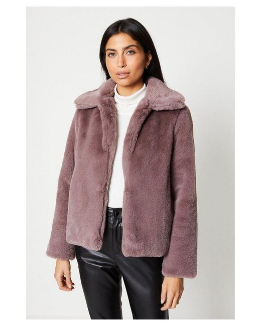 Wallis Purple Plush Faux Fur Short Collared Coat