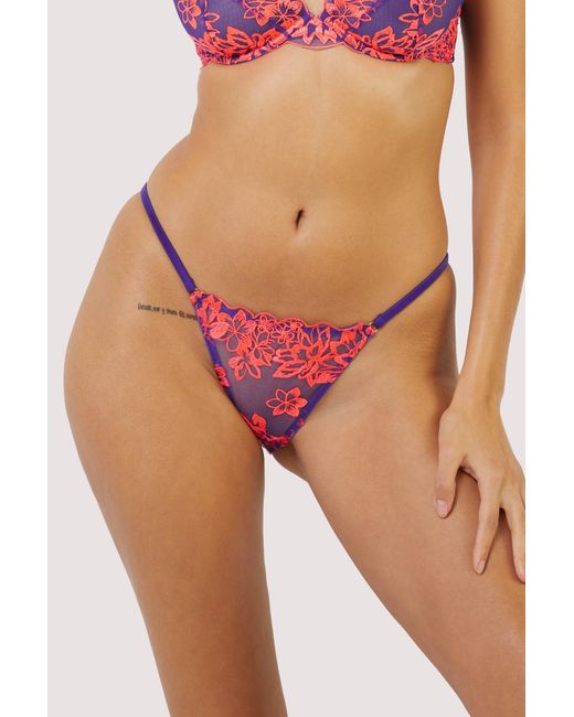 Playful Promises Red Ada Blossom & Neon Brief