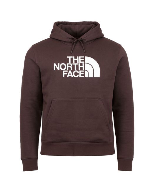 The North Face Brown Drew Peak Plv Hd Hoodie Cotton for men