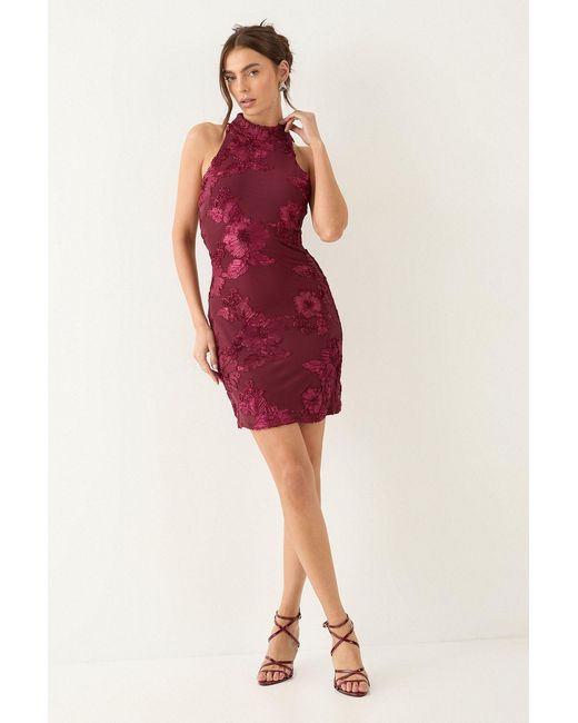 MissPap Textured Floral High Neck Mini Dress