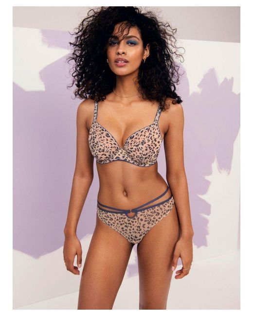Freya Brown Ladies Wild Side Plunge Bra - Beige And Blue