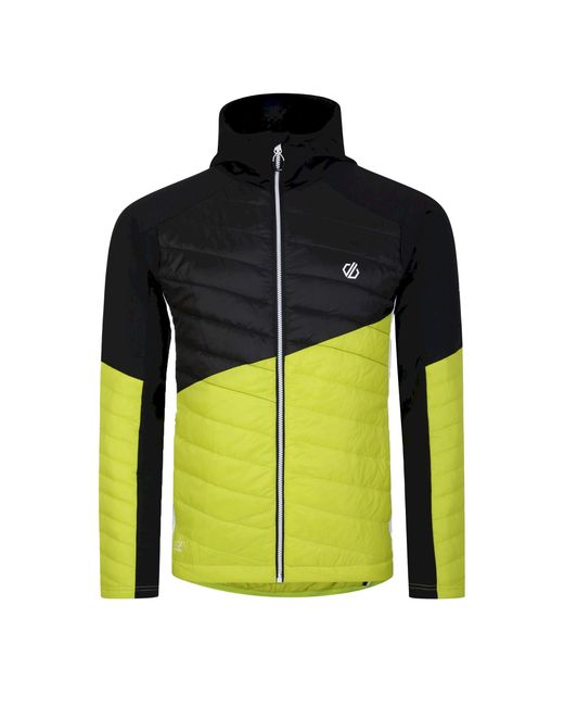 Dare 2b Multicolor Gendarme Padded Jacket Algae) for men