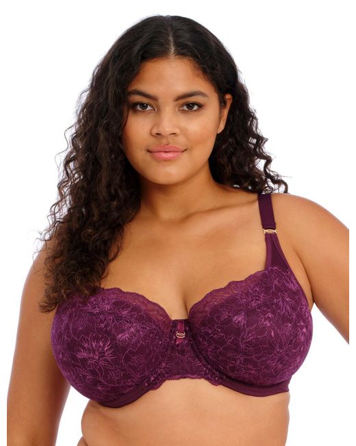 Elomi Purple Brianna Padded Half Cup Bra