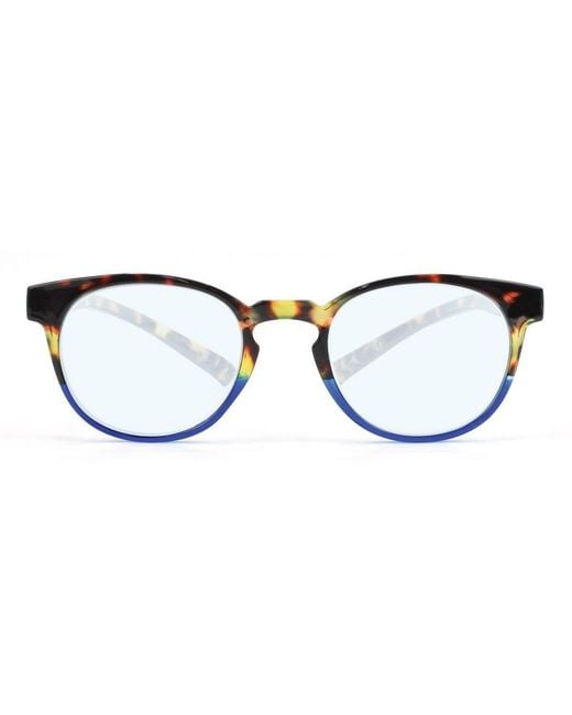 Montana Blue Round Tortoise Blfmnr1
