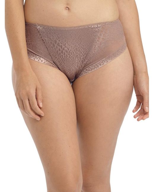 Fantasie Natural Envisage Brief