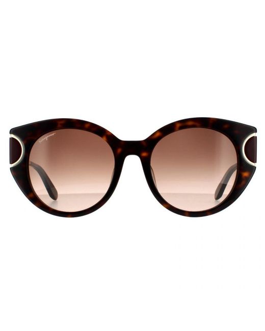 Ferragamo Brown Cat Eye Tortoise Gradient 90041091