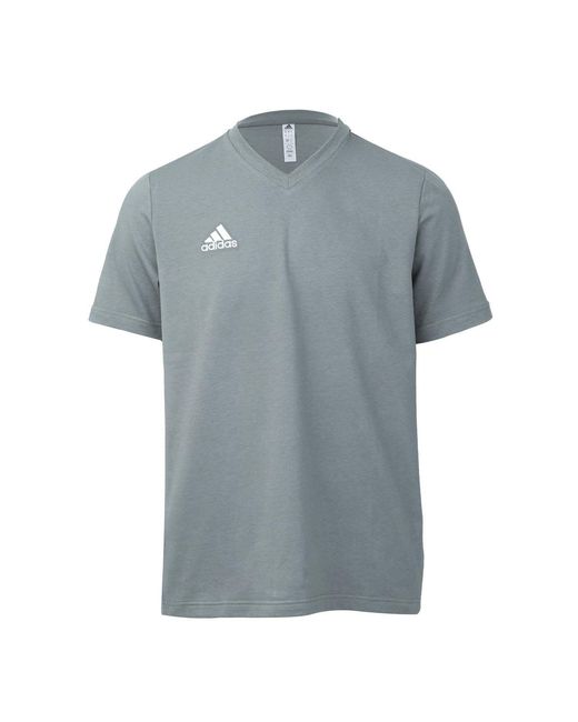 Adidas Blue Entrada 22 Cotton T-Shirt for men