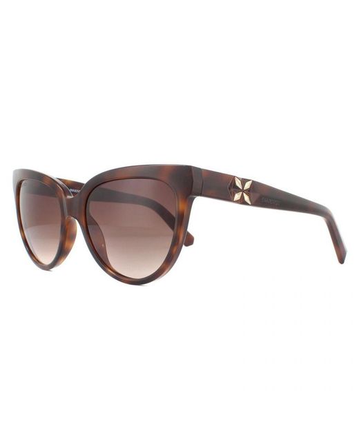 Swarovski Brown Cat Eye Dark Havana Gradient Sunglasses