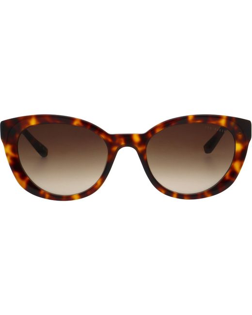 Ted Baker Brown Daliah Sunglasses for men
