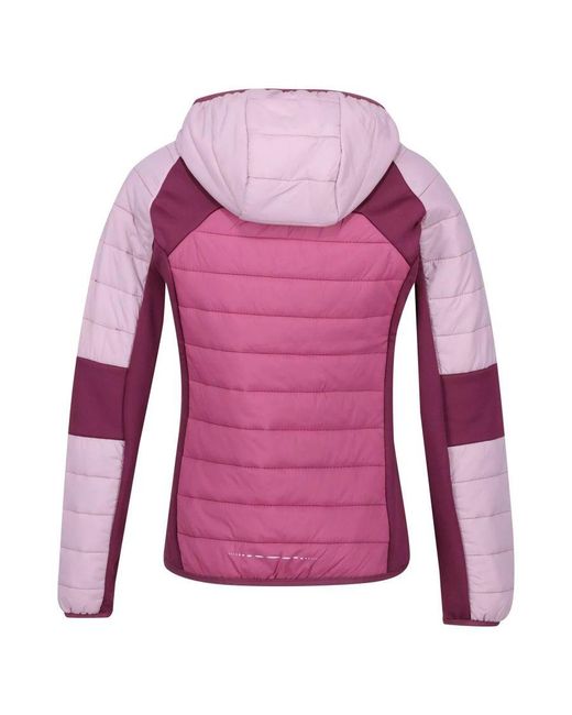 Regatta Purple Ladies Trutton Lightweight Padded Jacket /Fragrant Lilac/Amaranth Haze)