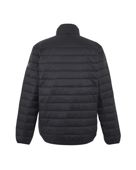 Regatta Blue Wentwood 3 for men