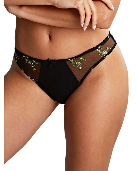 Panache Brown Meadow Brazilian