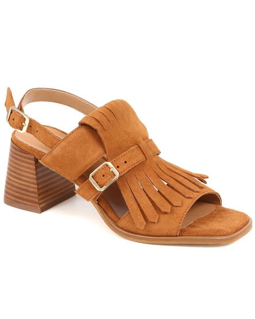 Jones Bootmaker Brown Kamila Block Heels