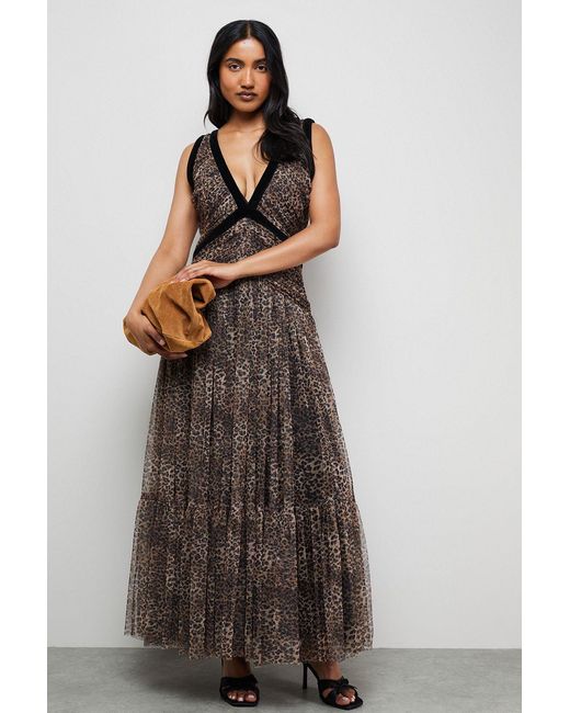Warehouse Brown Velvet Trim Leopard Tulle Maxi Dress
