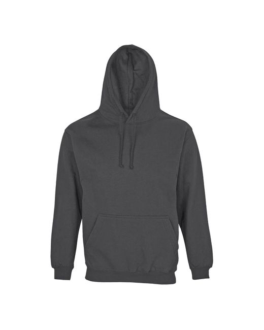 Sol's Gray Adult Condor Hoodie (Mouse)