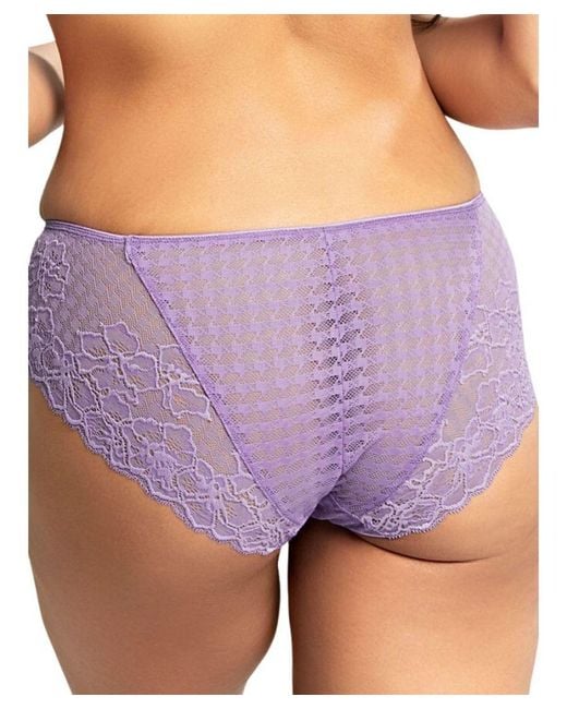 Panache Purple Envy Brief
